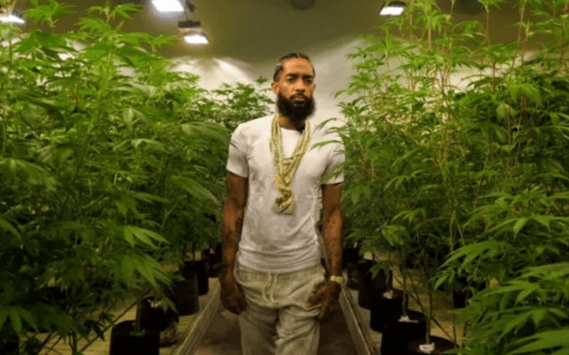 Watch a new documentary focused on Nipsey Hussle’s cannabis business