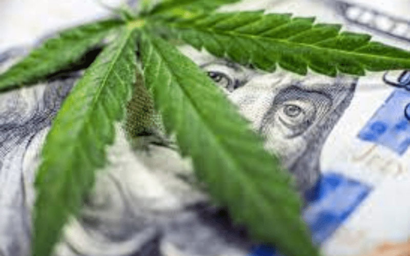 California targets cannabis businesses over unpaid taxes