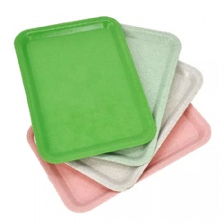 180*120MM PLASTIC TRAY